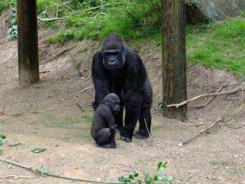 Indigo and Mum