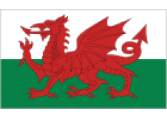 Flag of Ynys Mon